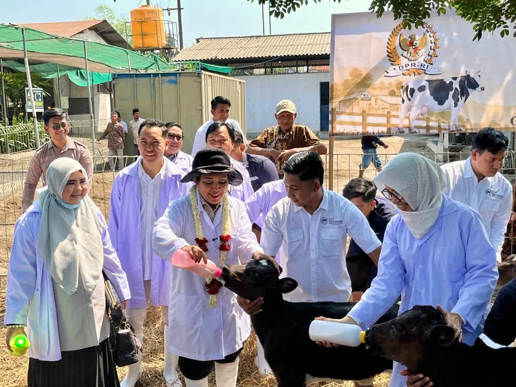 Kementan dan DPR RI Perkuat Ekosistem Peternak Sapi Perah